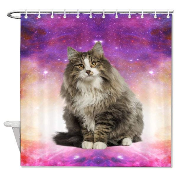 cat mammal felidae whiskers norwegian forest cat carnivore maine coon sky kitten bath decorative shower curtain bathroom
cat mammal felidae whiskers norwegian forest cat carnivore maine coon sky kitten bath decorative shower curtain bathroom
