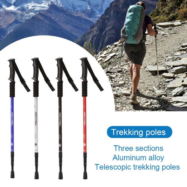 trekking poles 2pcs hiking walking sticks carbon fiber pole ultralight camping foldable nordic
trekking poles 2pcs hiking walking sticks carbon fiber pole ultralight camping foldable nordic