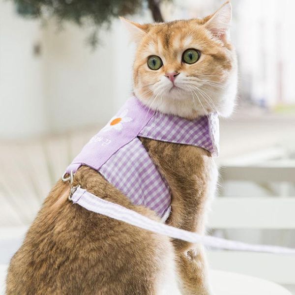 cat collars & leads mesh nylon harness kitten dog vest harnesses for small dogs cats printed vests chihuahua
cat collars & leads mesh nylon harness kitten dog vest harnesses for small dogs cats printed vests chihuahua