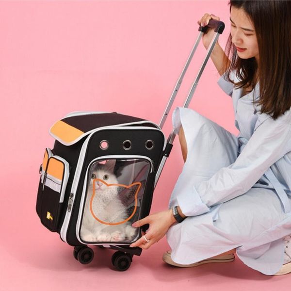 cat carry stroller bag universal wheel trolley travel skylight cage pet carrier for small dog backpack outdoor drop ship carriers,cr carrier
cat carry stroller bag universal wheel trolley travel skylight cage pet carrier for small dog backpack outdoor drop ship carriers,cr carrier