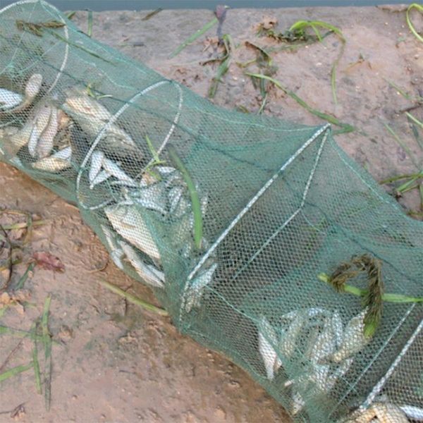 fishing accessories durable 3.5m/5m foldable lobster squid cage net crab lake trap pond river
fishing accessories durable 3.5m/5m foldable lobster squid cage net crab lake trap pond river