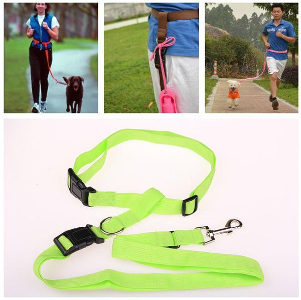 140cm adjustable nylon dog leash outdoor jogging lead morning running pet traction rope collars & leashes
140cm adjustable nylon dog leash outdoor jogging lead morning running pet traction rope collars & leashes