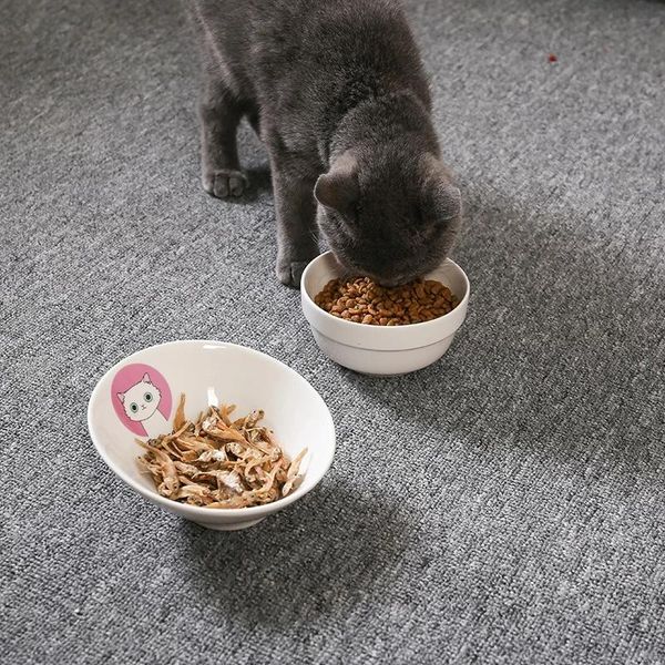 cat bowls & feeders bowl ceramic pet protection cervical water feeder dishes dog supplies
cat bowls & feeders bowl ceramic pet protection cervical water feeder dishes dog supplies