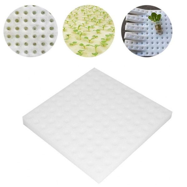 planters & pots white seedling hydroponic sponge vegetables nursery environmentally friendly garden greenhouse cultivation plant supplies
planters & pots white seedling hydroponic sponge vegetables nursery environmentally friendly garden greenhouse cultivation plant supplies