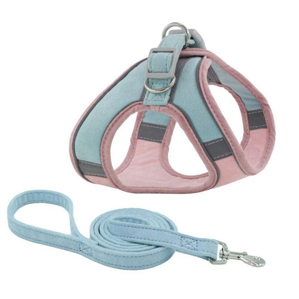 dog collars & leashes pet chest harness leash reflective breathable small vest sport for medium training walking
dog collars & leashes pet chest harness leash reflective breathable small vest sport for medium training walking