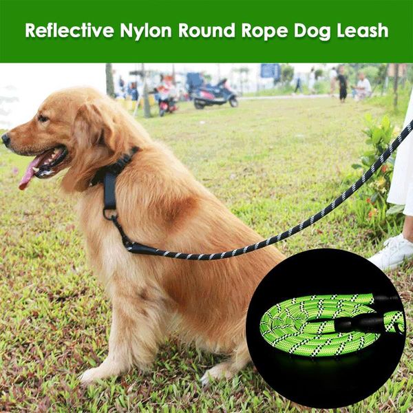 dog collars & leashes reflective traction rope nylon leash multicolor walking training lead pet supplies medium large dogs camping backyard
dog collars & leashes reflective traction rope nylon leash multicolor walking training lead pet supplies medium large dogs camping backyard