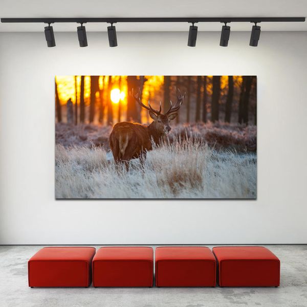 wild animal oil painting print poster canvas art landscape wall painting for living room modern decoration art
wild animal oil painting print poster canvas art landscape wall painting for living room modern decoration art