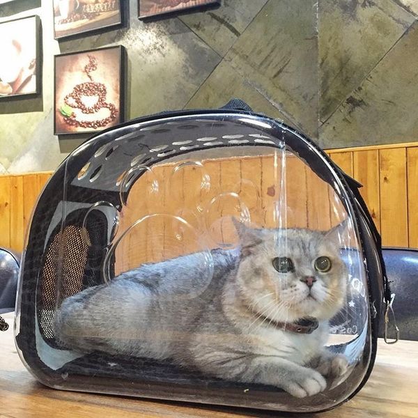 folding cage dog astronaut backpackpet carrier sac chat katten tas transparent cat outdoor travel bag car seat covers
folding cage dog astronaut backpackpet carrier sac chat katten tas transparent cat outdoor travel bag car seat covers