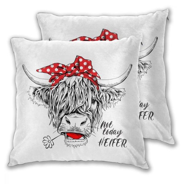 pillow case cover heifer cow home decorative 2 pieces zipper throw cushion for sofa and bed
pillow case cover heifer cow home decorative 2 pieces zipper throw cushion for sofa and bed
