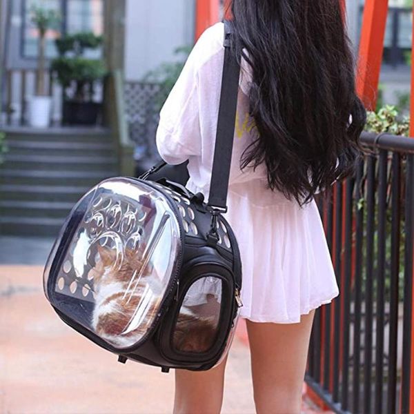 cat carriers,crates & houses transparent pet bag fashion breathable portable carrier outdoor foldable space backpacks carriers
cat carriers,crates & houses transparent pet bag fashion breathable portable carrier outdoor foldable space backpacks carriers