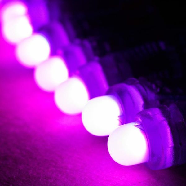 modules 50x 12mm ip68 underwater proof diffused rgb led pixels ws2801 dc5v addressable color string christmas decorate
modules 50x 12mm ip68 underwater proof diffused rgb led pixels ws2801 dc5v addressable color string christmas decorate