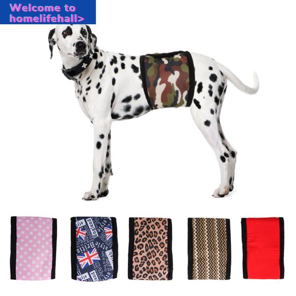 clothing clothes hooded suppliest physiological belt male dog polite sanitary pants anti harassment products
clothing clothes hooded suppliest physiological belt male dog polite sanitary pants anti harassment products