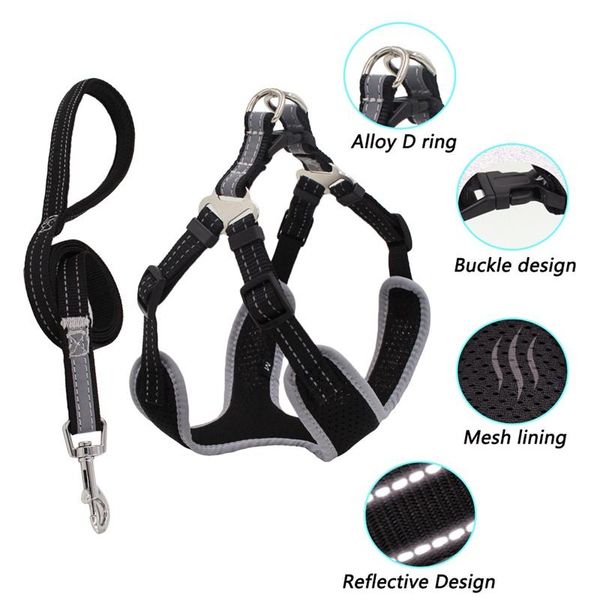 dog collars & leashes 7 colors adjustable pet harness leash set canvas strap vest reflective traction rope accessories for outdoor walking
dog collars & leashes 7 colors adjustable pet harness leash set canvas strap vest reflective traction rope accessories for outdoor walking