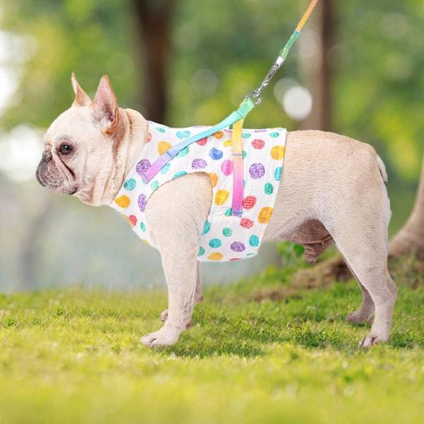 dog collars & leashes xs/s/m cat harness vest collar outdoor walking lead leash set for puppy dogs cartoon pet
dog collars & leashes xs/s/m cat harness vest collar outdoor walking lead leash set for puppy dogs cartoon pet