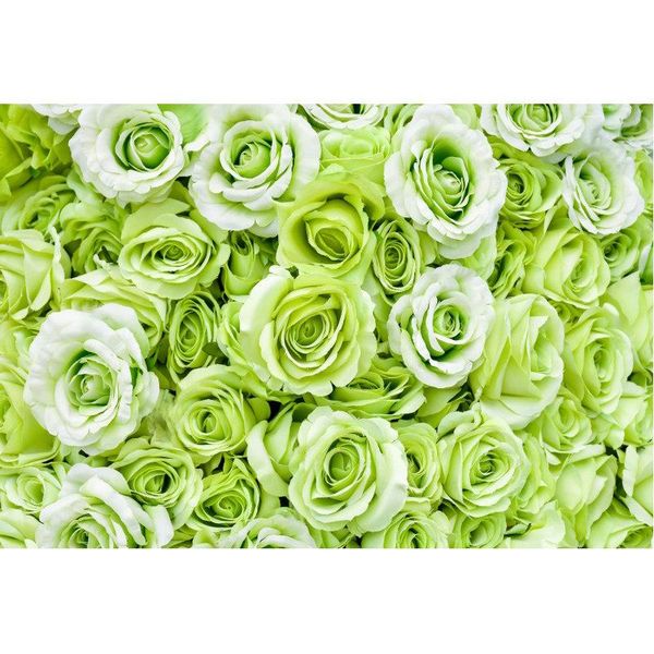 party decoration green rose flower backdrop wedding born baby bridal pography backgrounds po booth studio prop
party decoration green rose flower backdrop wedding born baby bridal pography backgrounds po booth studio prop