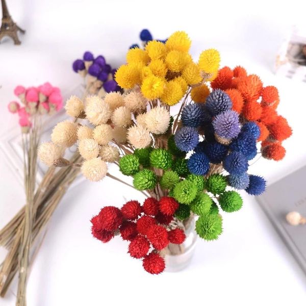 decorative flowers & wreaths artificial flower 50 cm single branch with15 dried strawberry fruits,wedding decoration,home living room vase a
decorative flowers & wreaths artificial flower 50 cm single branch with15 dried strawberry fruits,wedding decoration,home living room vase a