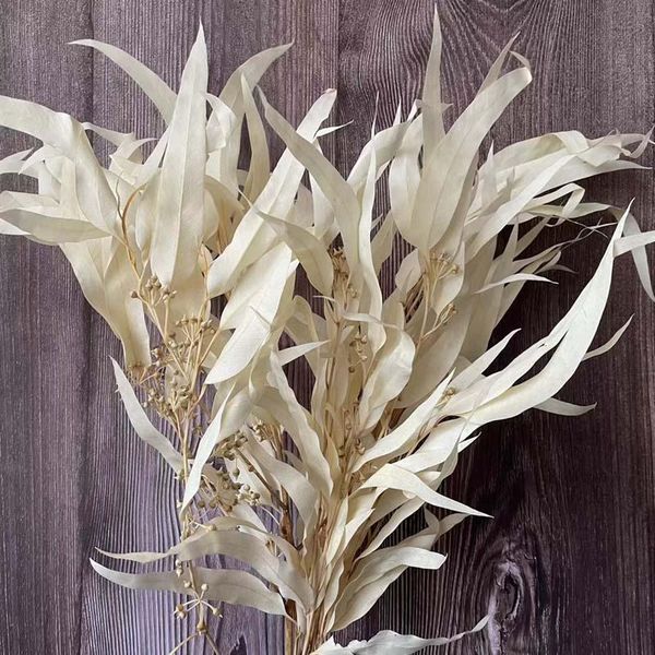 decorative flowers & wreaths 80g/35~45cm,decorative natural dried forever millet leaves bouquet in white,preserved leaf eucalyptus garland f
decorative flowers & wreaths 80g/35~45cm,decorative natural dried forever millet leaves bouquet in white,preserved leaf eucalyptus garland f