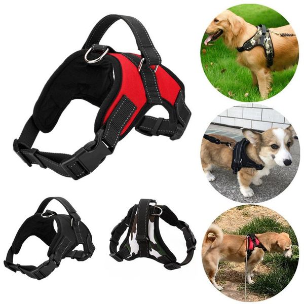 dog collars & leashes pet chest collar harness walking vest leash nylon adjustable lead belt strap for small large accessories
dog collars & leashes pet chest collar harness walking vest leash nylon adjustable lead belt strap for small large accessories