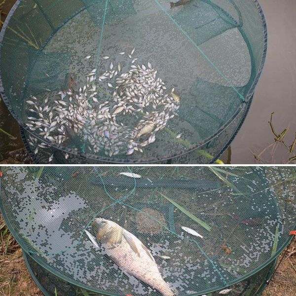 automatic fishing net trap cage round shape durable open for crab crayfish lobster rw accessories
automatic fishing net trap cage round shape durable open for crab crayfish lobster rw accessories