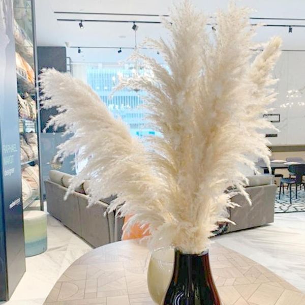 55cm natural pampas grass bouquet reed dried flower wedding decoration real plants home branch decorative flowers & wreaths
55cm natural pampas grass bouquet reed dried flower wedding decoration real plants home branch decorative flowers & wreaths