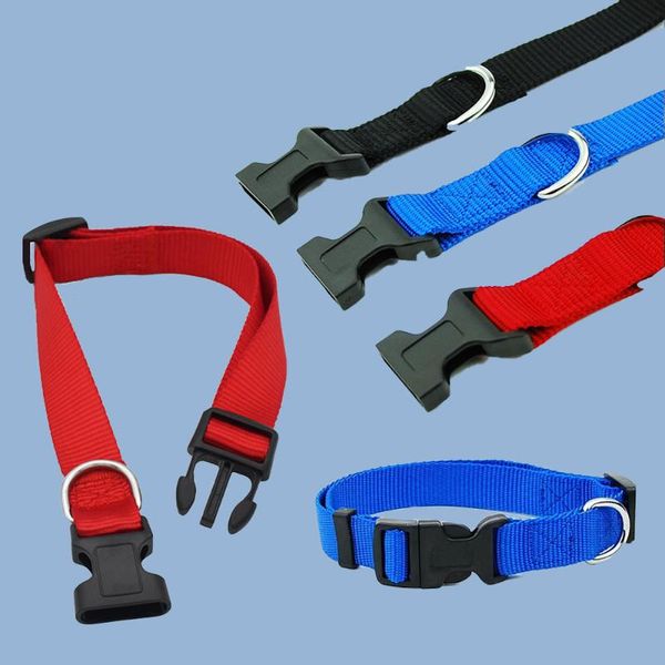 cat collars & leads nylon pet and dog collar solid color four-color suitable for small medium-sized accessories
cat collars & leads nylon pet and dog collar solid color four-color suitable for small medium-sized accessories