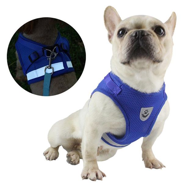 dog collars & leashes portable harnesses chest strap reflective explosion proof polyester pet traction rope for walking dogs supplies access
dog collars & leashes portable harnesses chest strap reflective explosion proof polyester pet traction rope for walking dogs supplies access