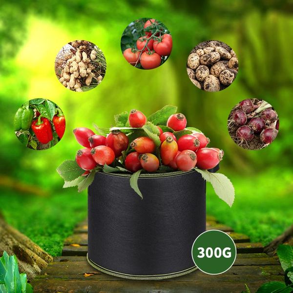 plant grow bags pot 20/25/30 gallon home garden tools tree strawberry fabric vegetable jardin growing pots gardening planters
plant grow bags pot 20/25/30 gallon home garden tools tree strawberry fabric vegetable jardin growing pots gardening planters