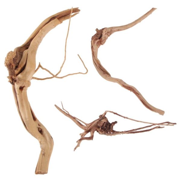 decorations 3pcs fish tank branch adornments decorative natural habitat roots (random color)
decorations 3pcs fish tank branch adornments decorative natural habitat roots (random color)