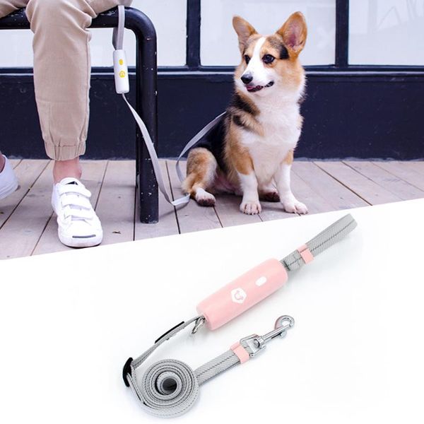 leash for small and medium-sized dogs,6-foot elastic leash, adjustable length, breathable woven collar, non-slip,explosion-proof dog collars
leash for small and medium-sized dogs,6-foot elastic leash, adjustable length, breathable woven collar, non-slip,explosion-proof dog collars