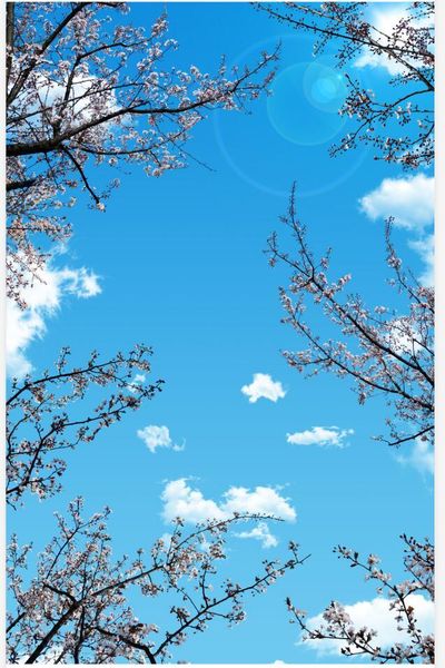wallpapers custom murals 3d ceilings beautiful cherry blossom blue sky white clouds sun ceiling mural
wallpapers custom murals 3d ceilings beautiful cherry blossom blue sky white clouds sun ceiling mural
