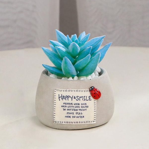 wedding party with pot bath bonsai gift ornament artificial succulent plants potted office mini indoor deskhome decor decorative flowers
wedding party with pot bath bonsai gift ornament artificial succulent plants potted office mini indoor deskhome decor decorative flowers
