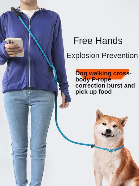 dog collars & leashes hands leash small-large leads explosion-proof training collar shiba inu golden retriever p chain
dog collars & leashes hands leash small-large leads explosion-proof training collar shiba inu golden retriever p chain