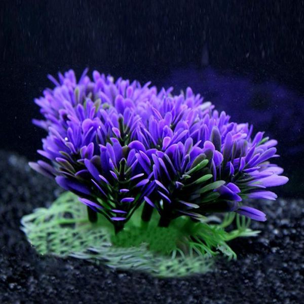 decorations soft purple aquarium underwater water plant fish tank plants for home decoration
decorations soft purple aquarium underwater water plant fish tank plants for home decoration
