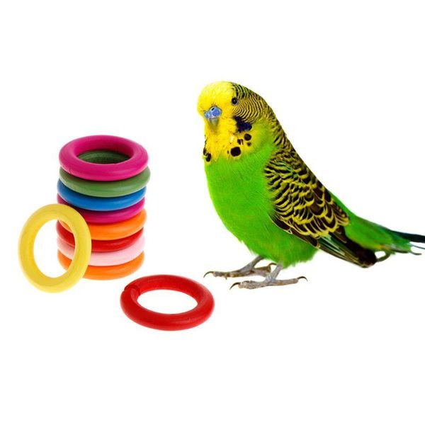 small animal supplies 10 pcs/set wooden ring parrot toys bite chew play natural colorful rings decoration birds parakeet toy diy accessories
small animal supplies 10 pcs/set wooden ring parrot toys bite chew play natural colorful rings decoration birds parakeet toy diy accessories