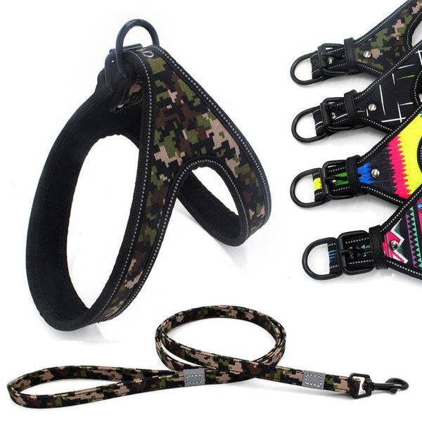 dog collars & leashes eva padded reflective harness collar with matched leash for walking and training small to large dogs puppy pet basic
dog collars & leashes eva padded reflective harness collar with matched leash for walking and training small to large dogs puppy pet basic