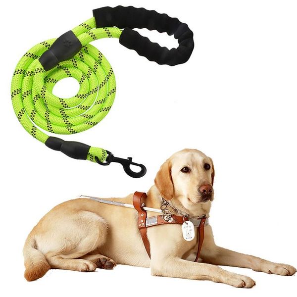 dog collars & leashes nylon pet reflective strong leash with comfortable padded handle strap pull durable training
dog collars & leashes nylon pet reflective strong leash with comfortable padded handle strap pull durable training