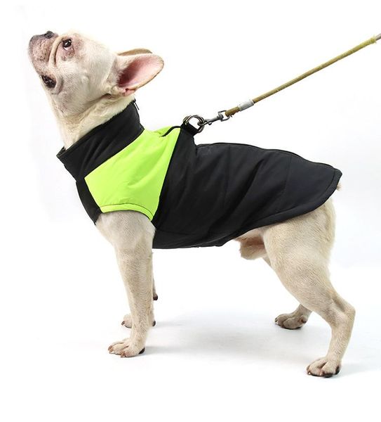 winter pet dog clothes super warm jacket thicker cotton coat waterproof small big pets clothing suppliers apparel
winter pet dog clothes super warm jacket thicker cotton coat waterproof small big pets clothing suppliers apparel