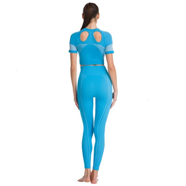 women's tracksuits tracksuitsshark gym utra fluorescent short sleeve high waist super elastic pants yoga suit 8vup, Gray
women's tracksuits tracksuitsshark gym utra fluorescent short sleeve high waist super elastic pants yoga suit 8vup, Gray