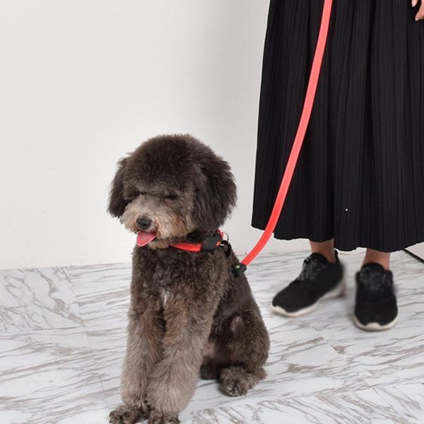 dog collars & leashes pet luminous collar traction rope nylon soft durable strong metal buckle training accessories glowband 
dog collars & leashes pet luminous collar traction rope nylon soft durable strong metal buckle training accessories glowband