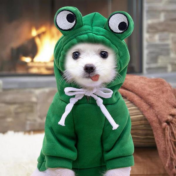 cat costumes dog clothes pets funny halloween small frog costume jacket coat polyester green winter warm clothing hoodie
cat costumes dog clothes pets funny halloween small frog costume jacket coat polyester green winter warm clothing hoodie