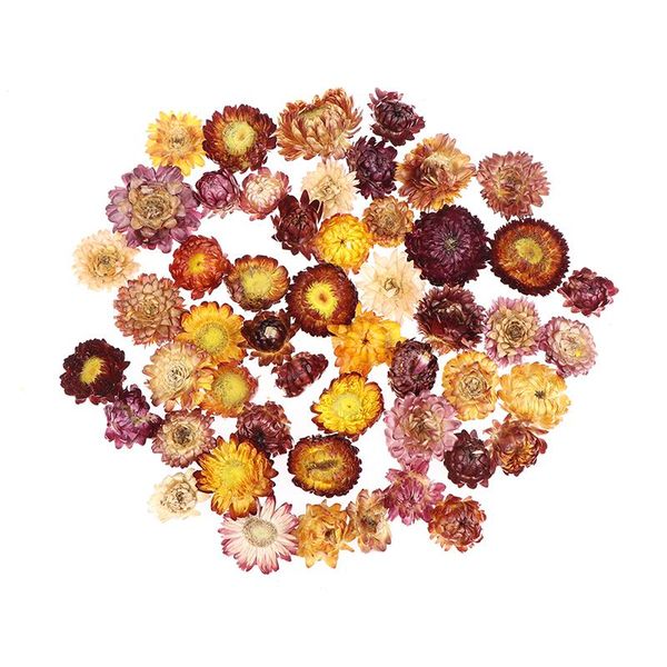 decorative flowers & wreaths 50/100g colorful chrysanthemum daisy flower head small straw wedding home party decor
decorative flowers & wreaths 50/100g colorful chrysanthemum daisy flower head small straw wedding home party decor
