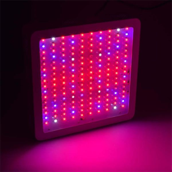 phyto lamp led grow light full spectrum 1600w fitolamp for indoor tent greenhouses hydroponics plants growth lights
phyto lamp led grow light full spectrum 1600w fitolamp for indoor tent greenhouses hydroponics plants growth lights