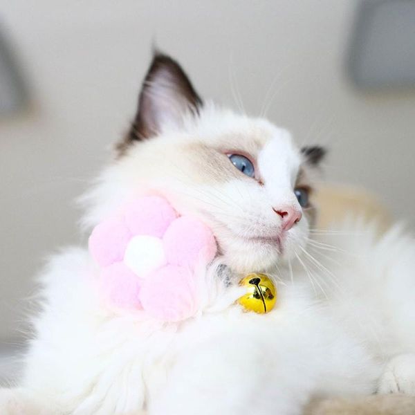 hairball flower pet cat collar colorful cute kitten pluash necklace interactive cats stretch elasticity rope puppy neck strap collars & lead