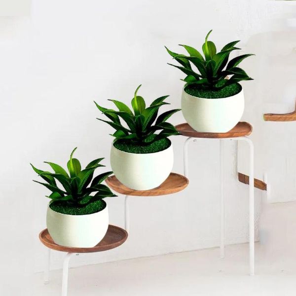 decorative flowers & wreaths artificial succulent mini potted green plants floral decor ornaments stone bonsai home deskoffices courtyar
decorative flowers & wreaths artificial succulent mini potted green plants floral decor ornaments stone bonsai home deskoffices courtyar