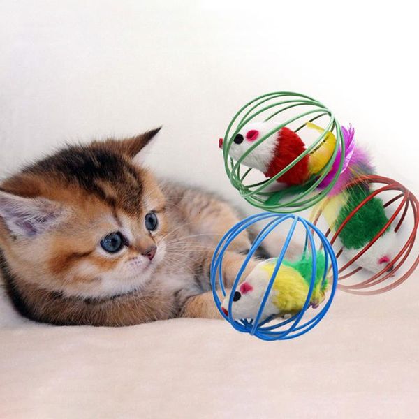 cat toys 1pcs random color non-toxic plush diam 6cm durable stainless steel iron cage pet supplies mouse
cat toys 1pcs random color non-toxic plush diam 6cm durable stainless steel iron cage pet supplies mouse