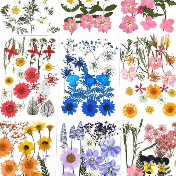 decorative flowers & wreaths 1 set real dried flower dry plants for candle epoxy resin pendant necklace jewelry making craft diy accessories
decorative flowers & wreaths 1 set real dried flower dry plants for candle epoxy resin pendant necklace jewelry making craft diy accessories