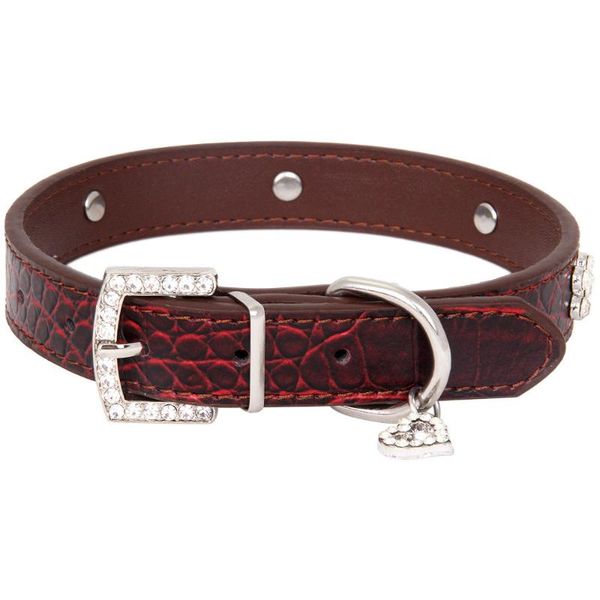 pet alligator printed dog collar with diamond plum blossm heart adjustable dogs cat collars control handle training puppy & leashes
pet alligator printed dog collar with diamond plum blossm heart adjustable dogs cat collars control handle training puppy & leashes