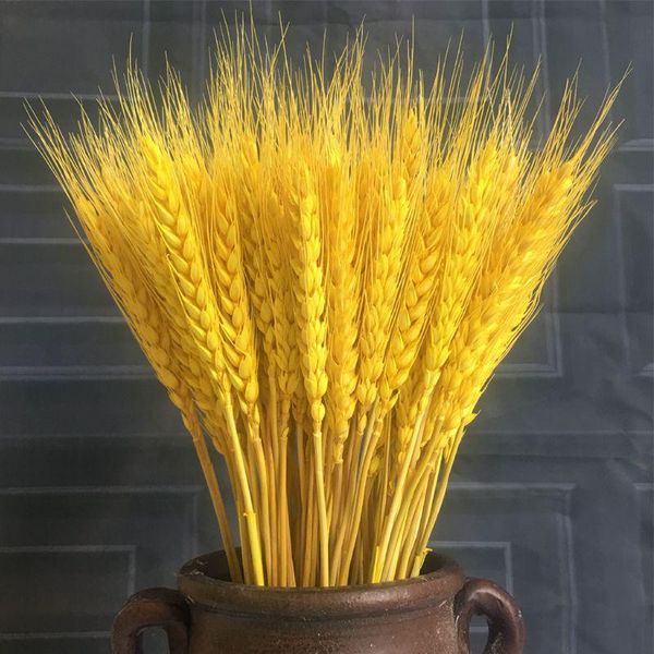 decorative flowers & wreaths 50pcs/100pcs wheat autumn decoration pampas grass craft dried for wedding
decorative flowers & wreaths 50pcs/100pcs wheat autumn decoration pampas grass craft dried for wedding