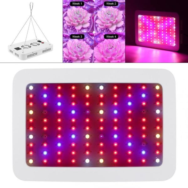 grow lights 1000w led light full spectrum plant growth indoor hydroponic plants lighting
grow lights 1000w led light full spectrum plant growth indoor hydroponic plants lighting