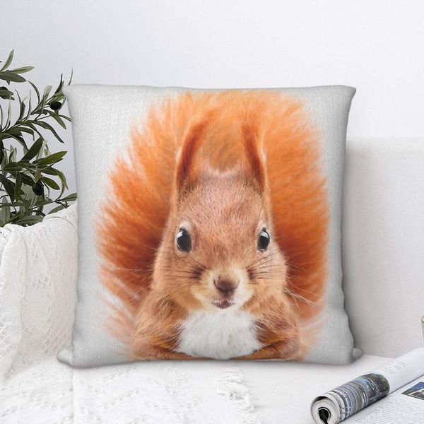 cushion/decorative pillow squirrel pillowcase backpack cushion for livingroom diy printed chair hug decorative
cushion/decorative pillow squirrel pillowcase backpack cushion for livingroom diy printed chair hug decorative